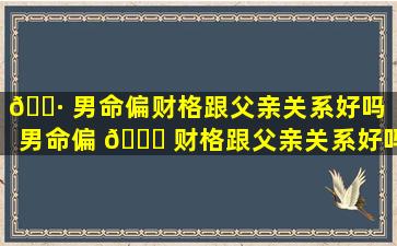 🕷 男命偏财格跟父亲关系好吗（男命偏 🐘 财格跟父亲关系好吗婚姻好吗）